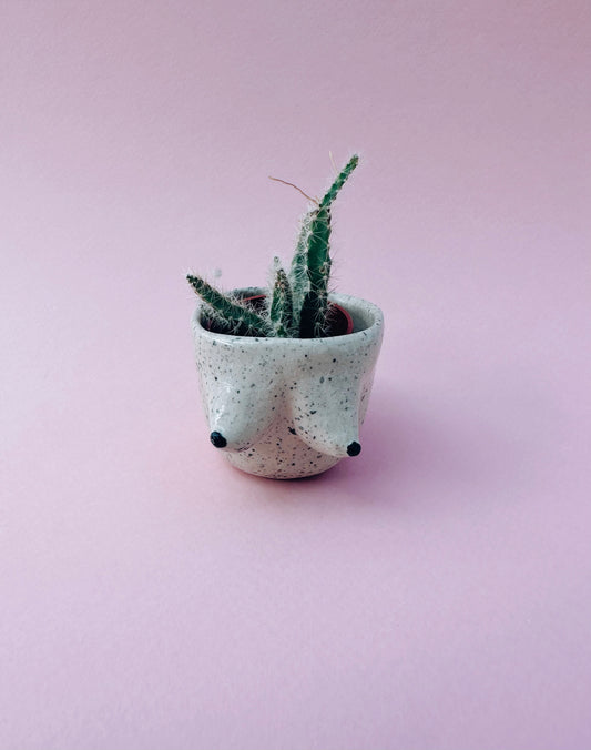 Mini cache pot - collection Free the Nip - modèle Dorothea